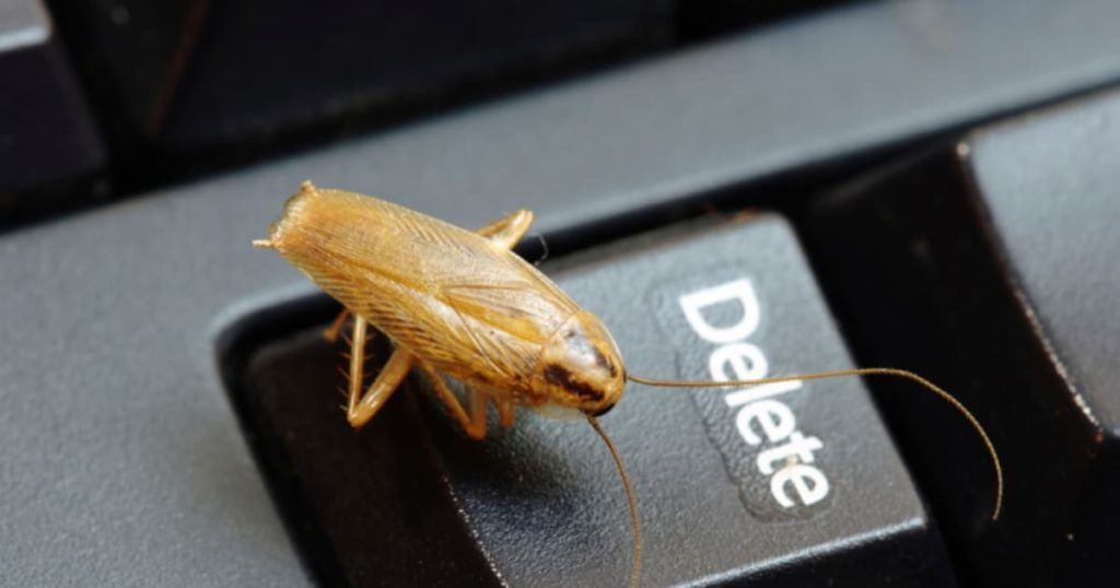 Уничтожение тараканов в офисе в Рязани